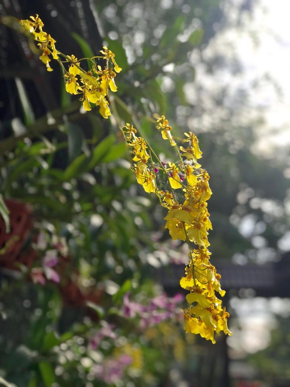 Thanh Thuy ホーチミン市 エクステリア 写真